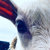FemurDog thumbnail