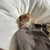 biscuits thumbnail