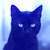 Blue Cat thumbnail