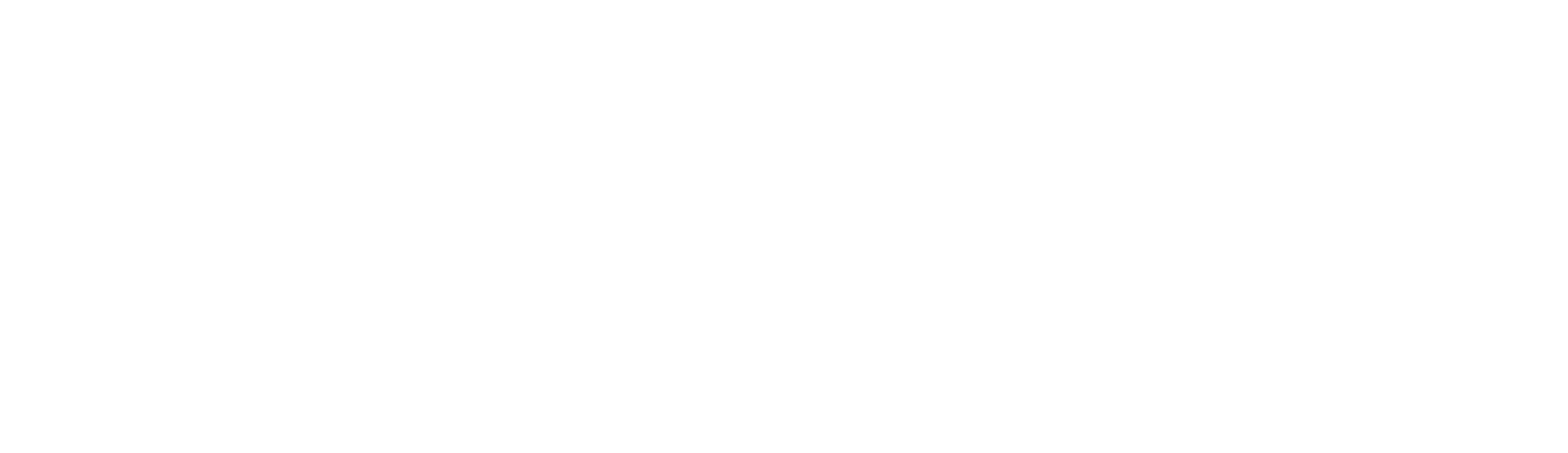 Bandcamp Logo light