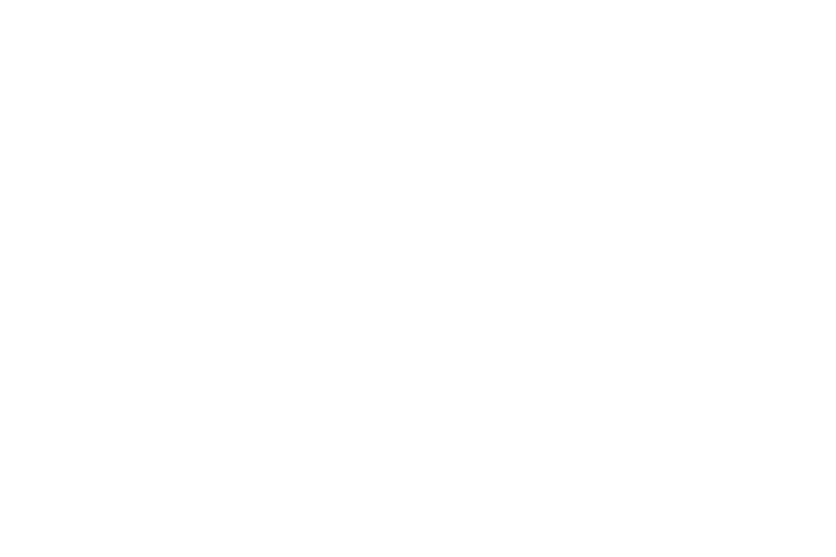 BC Logo light